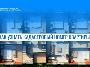 Нижегородский Росреестр разъясняет: как быстро и официально узнать кадастровый номер квартиры
